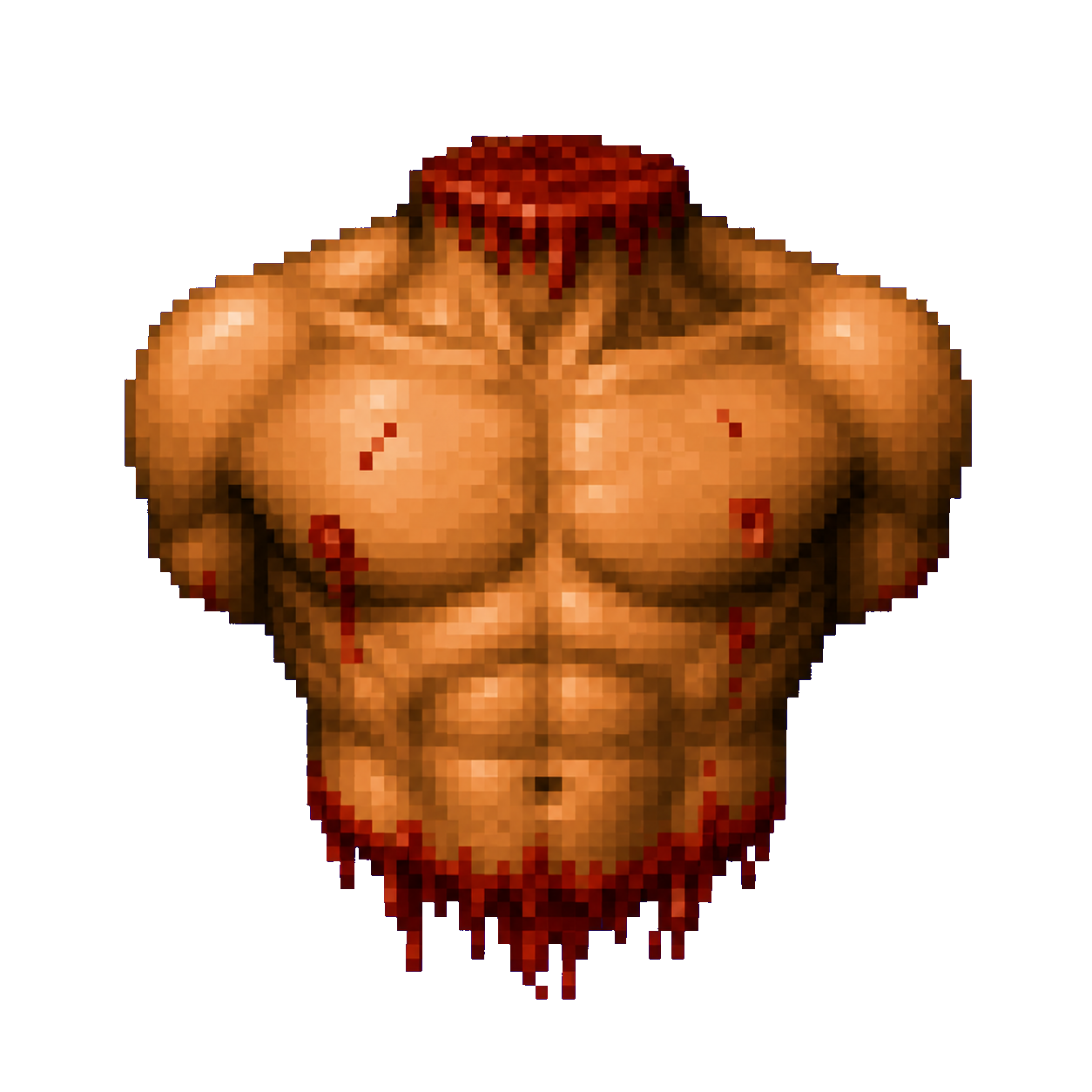 Torso
